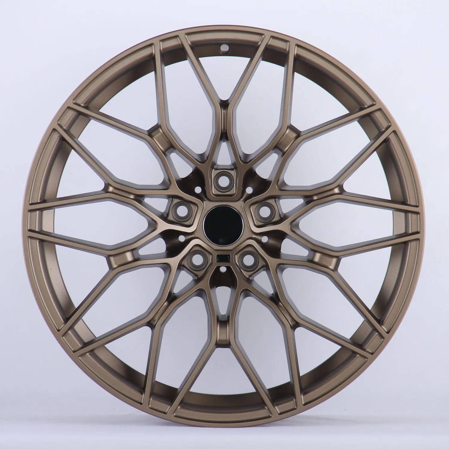 20 Inch Custom Alloy Wheels